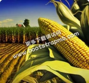 7x24小时不间断服务 - 足球世界杯
